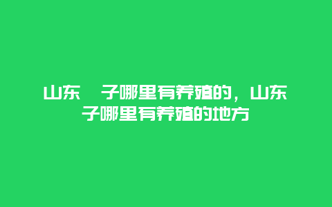 山东獾子哪里有养殖的，山东獾子哪里有养殖的地方