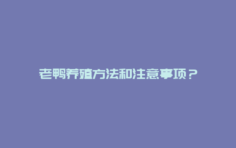 老鸭养殖方法和注意事项？