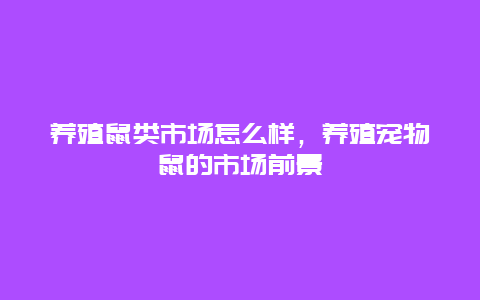 养殖鼠类市场怎么样，养殖宠物鼠的市场前景