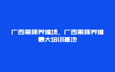 广西黑豚养殖场，广西黑豚养殖最大培训基地