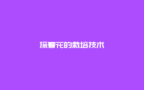 探春花的栽培技术