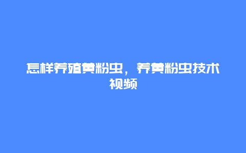 怎样养殖黄粉虫，养黄粉虫技术视频