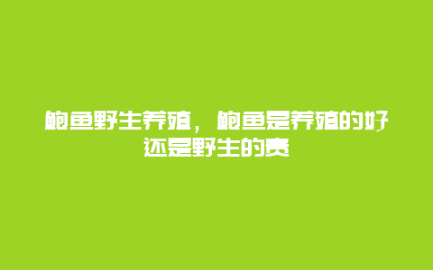 鲍鱼野生养殖，鲍鱼是养殖的好还是野生的贵