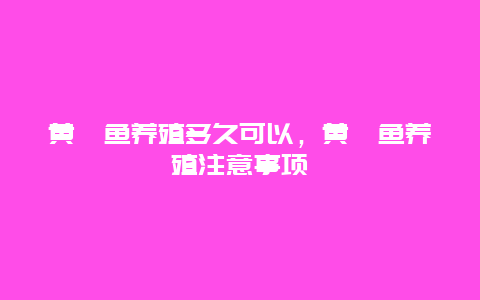 黄颡鱼养殖多久可以，黄颡鱼养殖注意事项