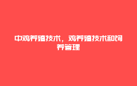 中鸡养殖技术，鸡养殖技术和饲养管理