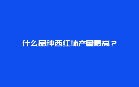 什么品种西红柿产量最高？