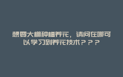 想要大棚种植养花，请问在哪可以学习到养花技术？？？