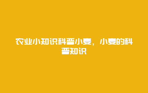 农业小知识科普小麦，小麦的科普知识