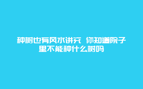 种树也有风水讲究 你知道院子里不能种什么树吗