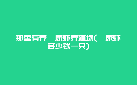 那里有养濑尿虾养殖场(濑尿虾多少钱一只)