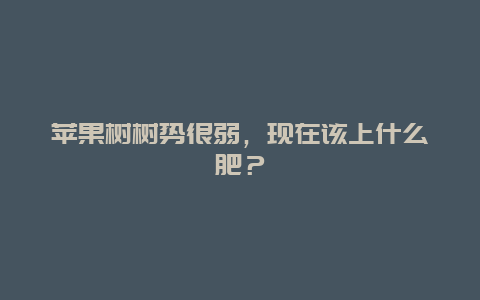 苹果树树势很弱，现在该上什么肥？