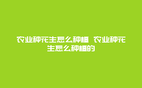 农业种花生怎么种植 农业种花生怎么种植的