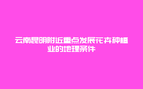 云南昆明附近重点发展花卉种植业的地理条件