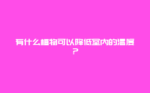 有什么植物可以降低室内的温度？