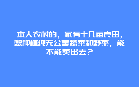 本人农村的，家有十几亩良田，想种植纯无公害蔬菜和野菜，能不能卖出去？