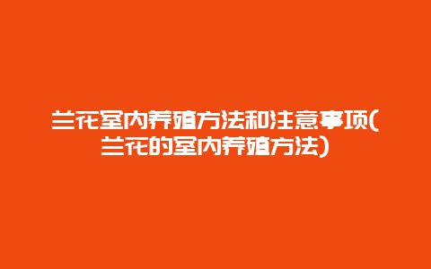 兰花室内养殖方法和注意事项(兰花的室内养殖方法)