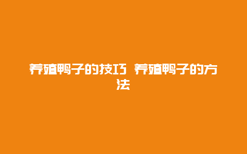 养殖鸭子的技巧 养殖鸭子的方法