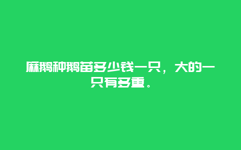 麻鹅种鹅苗多少钱一只，大的一只有多重。