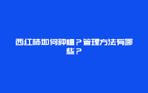 西红柿如何种植？管理方法有哪些？