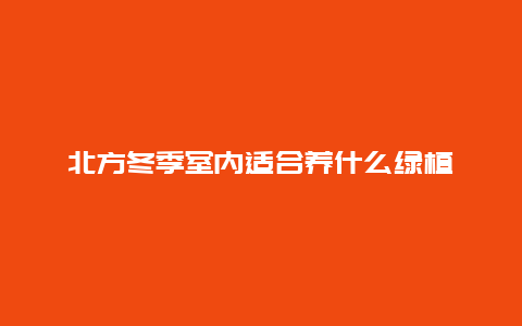 北方冬季室内适合养什么绿植