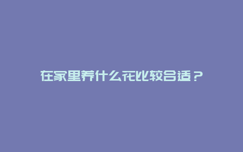 在家里养什么花比较合适？