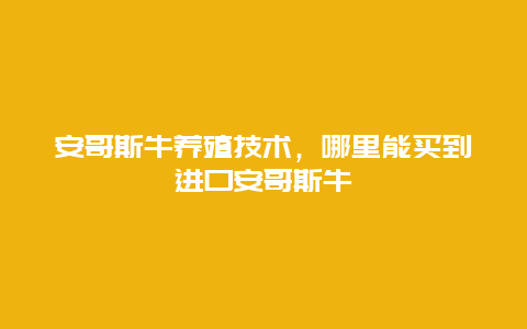 安哥斯牛养殖技术，哪里能买到进口安哥斯牛