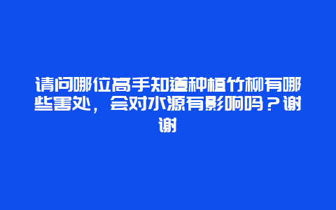 请问哪位高手知道种植竹柳有哪些害处，会对水源有影响吗？谢谢