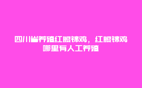 四川省养殖红腹锦鸡，红腹锦鸡哪里有人工养殖