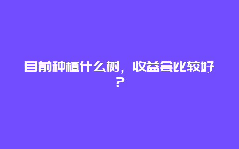 目前种植什么树，收益会比较好？