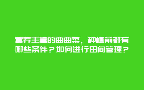 营养丰富的曲曲菜，种植前都有哪些条件？如何进行田间管理？