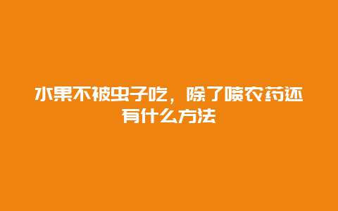 水果不被虫子吃，除了喷农药还有什么方法