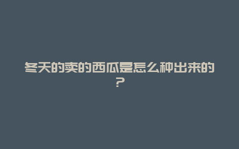 冬天的卖的西瓜是怎么种出来的？