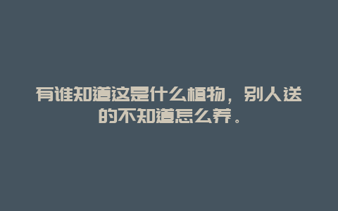 有谁知道这是什么植物，别人送的不知道怎么养。