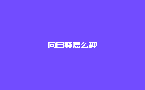 向日葵怎么种