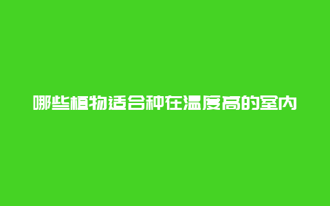 哪些植物适合种在温度高的室内