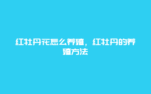 红牡丹花怎么养殖，红牡丹的养殖方法