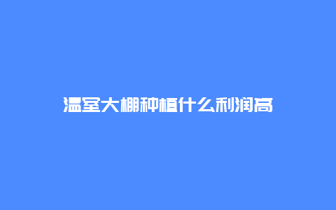 温室大棚种植什么利润高