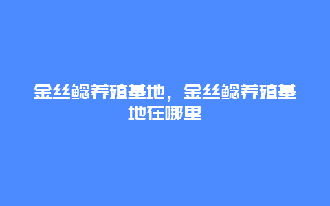 金丝鲶养殖基地，金丝鲶养殖基地在哪里