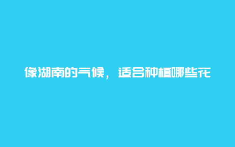 像湖南的气候，适合种植哪些花