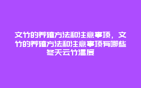 文竹的养殖方法和注意事项，文竹的养殖方法和注意事项有哪些冬天云竹温度