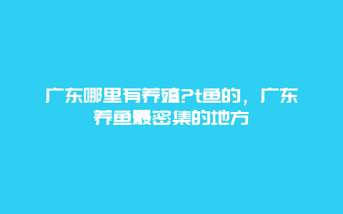 广东哪里有养殖?t鱼的，广东养鱼最密集的地方