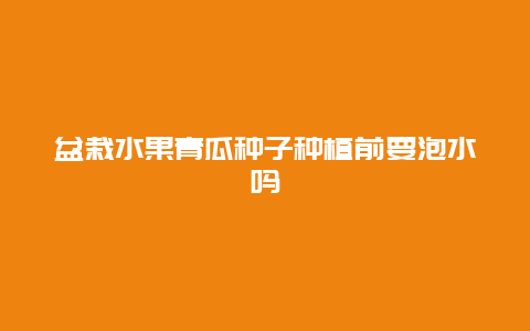 盆栽水果青瓜种子种植前要泡水吗