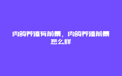 肉鸽养殖有前景，肉鸽养殖前景怎么样