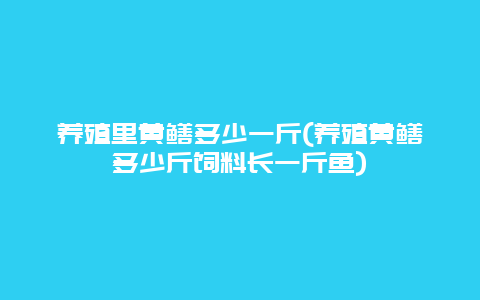 养殖里黄鳝多少一斤(养殖黄鳝多少斤饲料长一斤鱼)