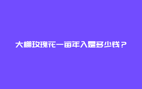 大棚玫瑰花一亩年入是多少钱？