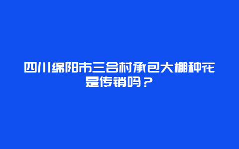 四川绵阳市三合村承包大棚种花是传销吗？