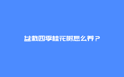 盆栽四季桂花树怎么养？