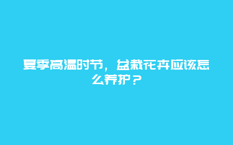 夏季高温时节，盆栽花卉应该怎么养护？