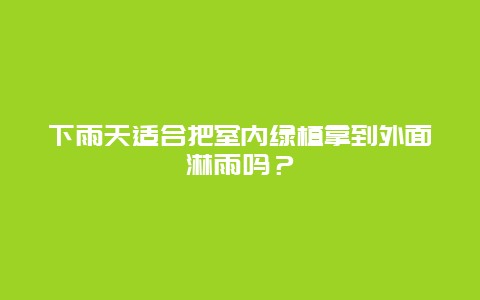 下雨天适合把室内绿植拿到外面淋雨吗？