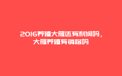 2016养殖大雁还有利润吗，大雁养殖有销路吗